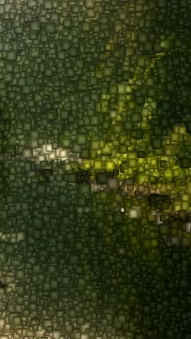 Quiet Woodland Stream with Smooth Stones and Lush Green Banks, Made of Flying Cubes