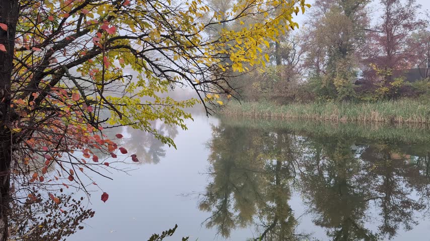 Quiet autumn river landscape with foggy trees and reflection