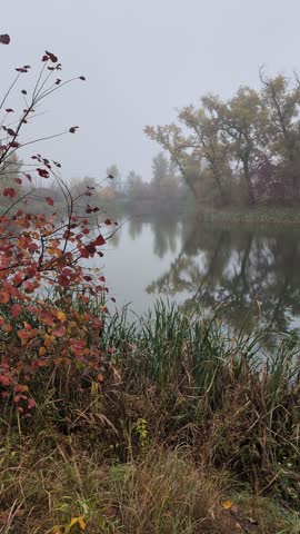 Quiet autumn river landscape with foggy trees and reflection