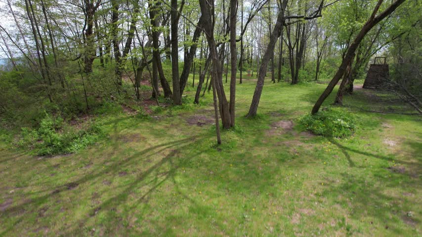 
Rising over Trees Aerial of Silver Creek Park in Manitowoc Wisconsin on the Shore of Lake Michigan