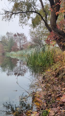 Quiet autumn river landscape with foggy trees and reflection