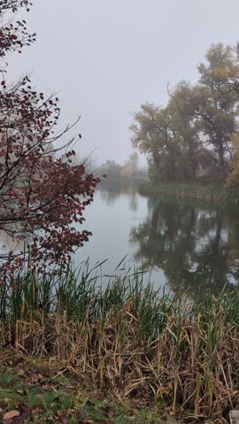 Quiet autumn river landscape with foggy trees and reflection