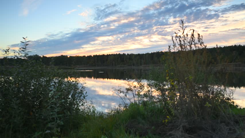 Autumn landscape, forest lake, forest in background, trees, dark, sunset light, sunset sky