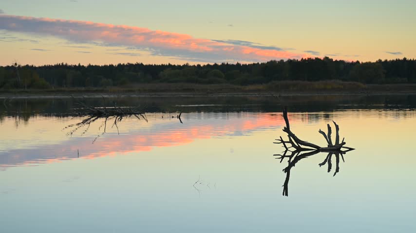 Autumn landscape, forest lake, forest in background, trees, dark, sunset light, sunset sky,branches in the water