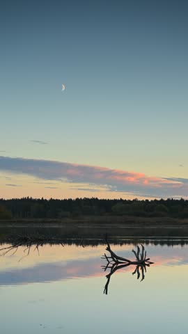 Autumn landscape, forest lake, forest in background, trees, dark, sunset light, sunset sky,branches in the water