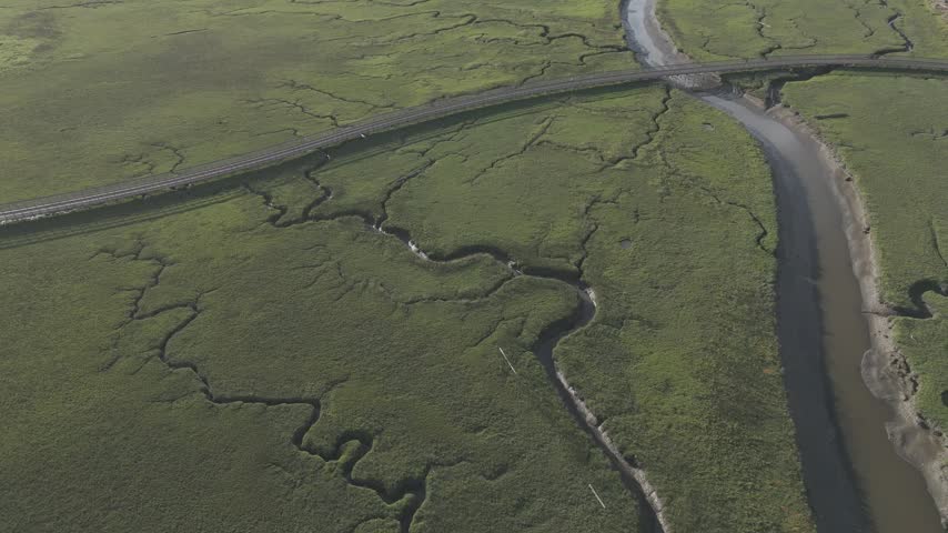 Network of tidal channels across green coastal marsh, BC — aerial view
