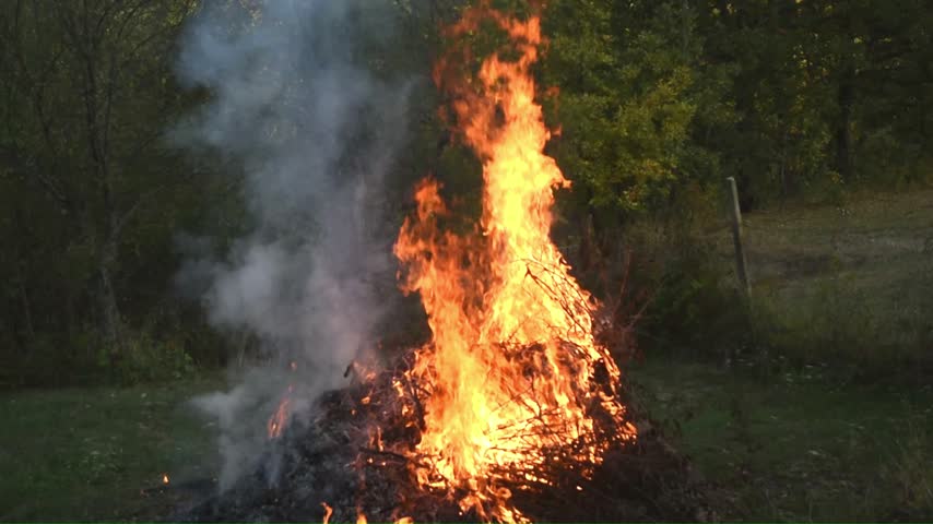 Large pile of dry branches burning during autumn garden cleanup in a rural yard surrounded by trees.