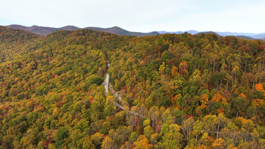 Car traveling on winding forest road during fall season. Vehicle driving through mountain woods under glowing autumn leaves.
