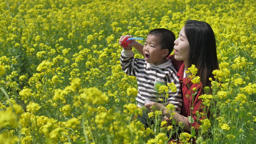 Chinese mother and child blowing bubbles in rapeseed field