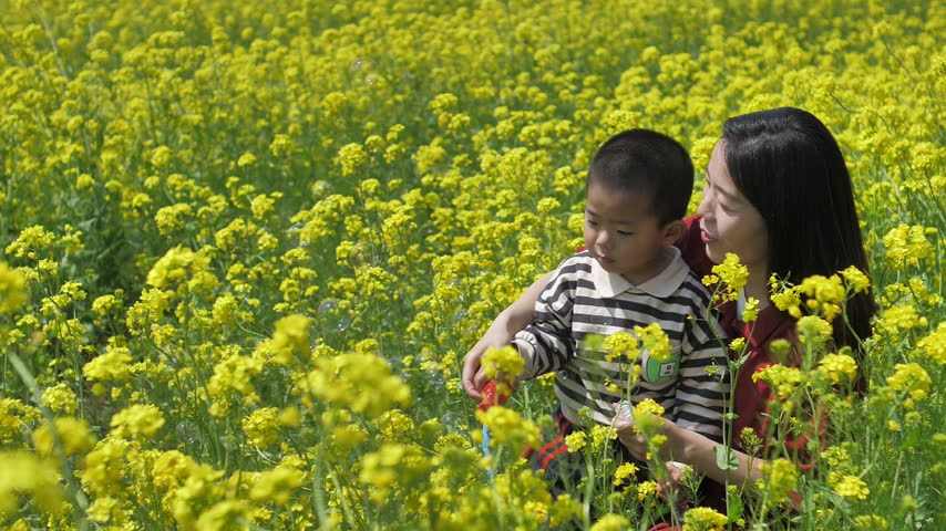 Chinese mother and child blowing bubbles in rapeseed field