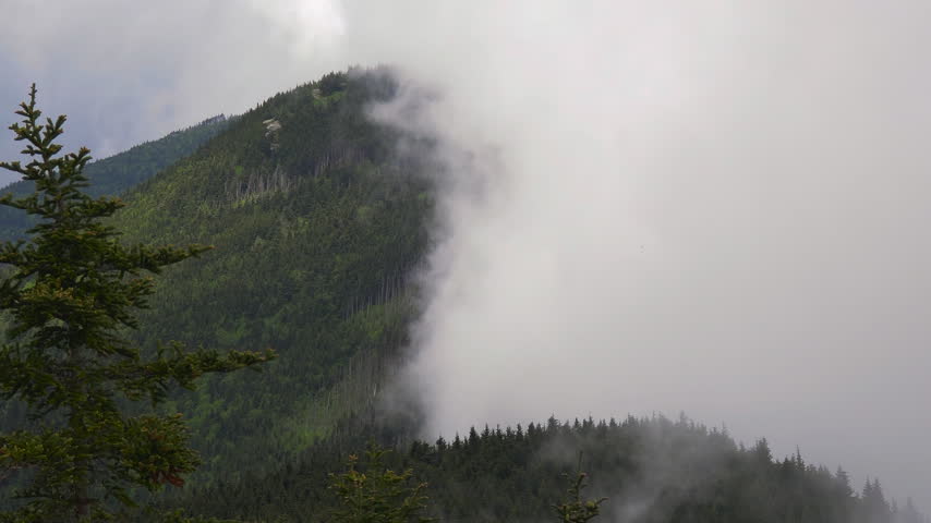 Nature landscape of Tennessee Appalachian mountains. Mountain forest with green canopies in summer rain season.