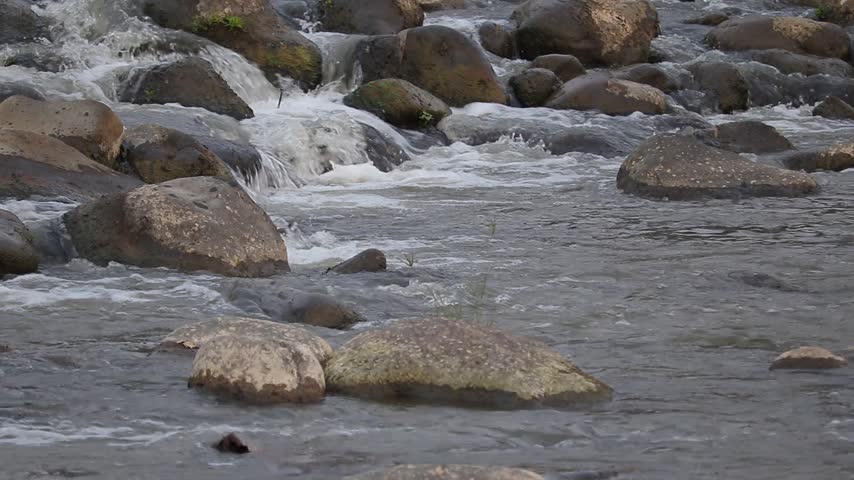 Close up view of clean water flowing rapidly over smooth rocks in a natural mountain river stream.
