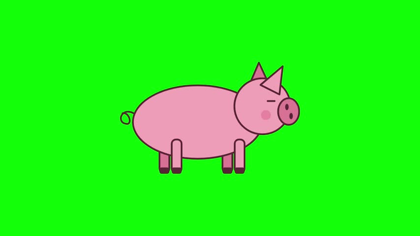 Cute cartoon pig walking towards the side on a green background a playful flat