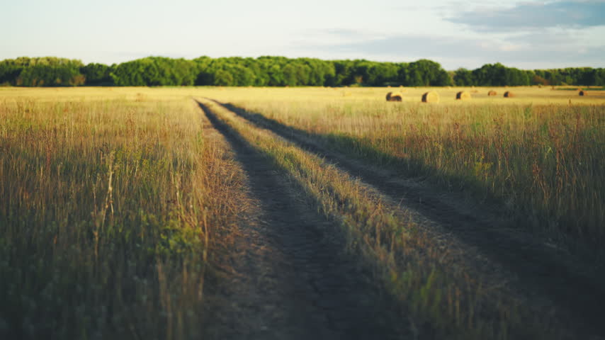 Dirt track through golden meadow toward distant treeline with scattered hay bales under warm afternoon light, rural landscape with grass, pasture, horizon, and soft summer colors