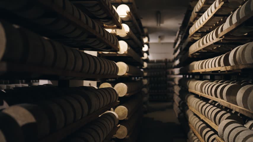 Wheels of cheese aging on wooden shelves in a dark cellar. Dairy production and traditional cheesemaking process in an artisanal factory