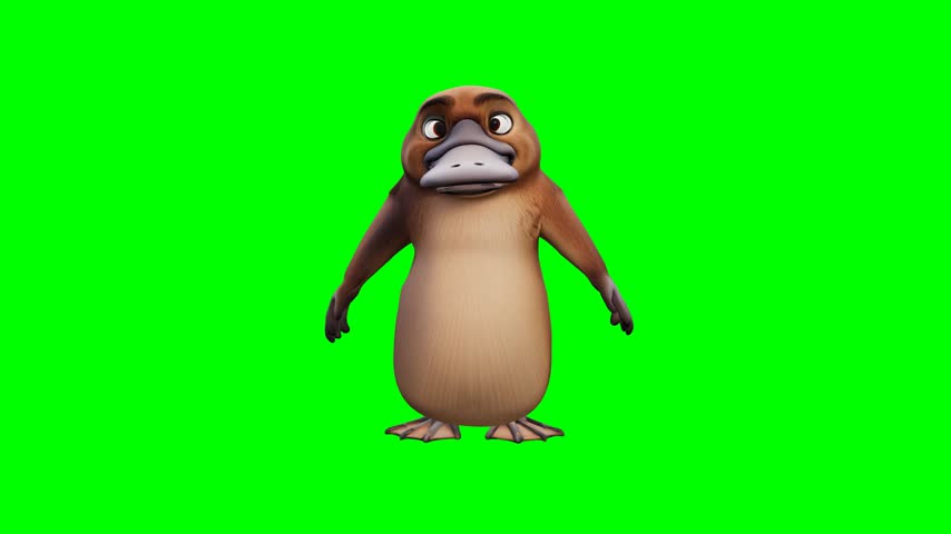 A brown 3D animated platypus with a large bill waves cheerfully against a bright green chroma key background. It features expressive eyes and webbed feet. Ideal for educational or children media.