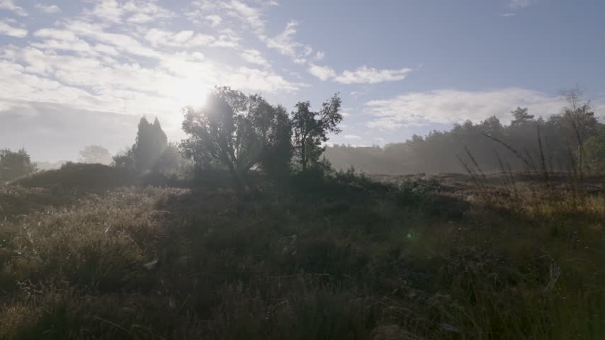 Morning sunlight shining over a misty rural landscape.