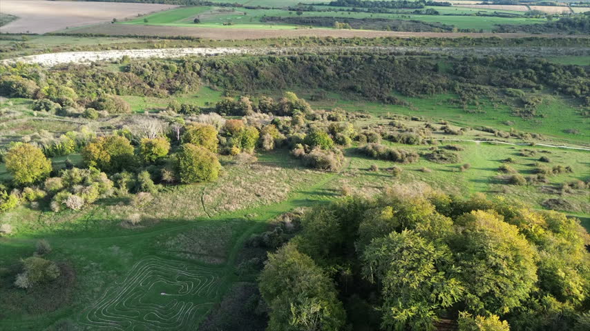 Natural Flyover with Trees and Grassland