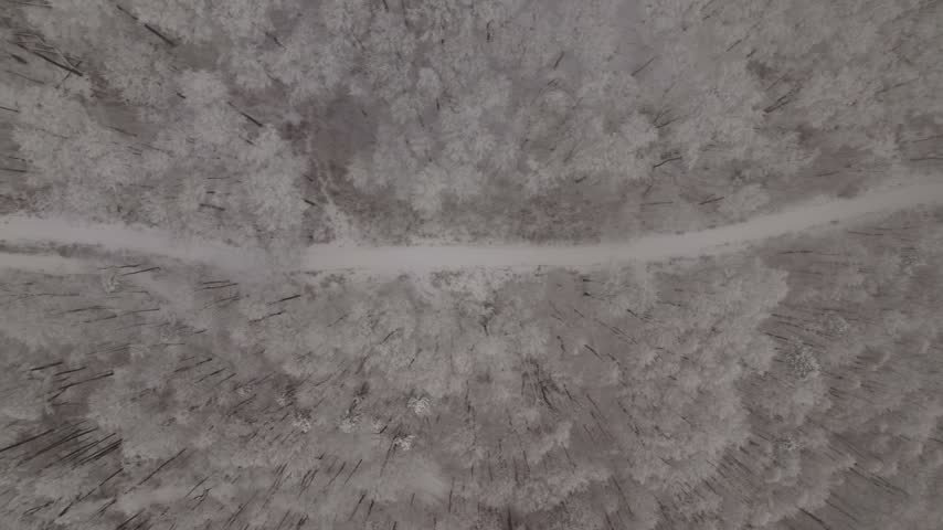 Top-down aerial view of snow-covered forest canopy with frosted pine and deciduous trees surrounding winding snow-packed trail.