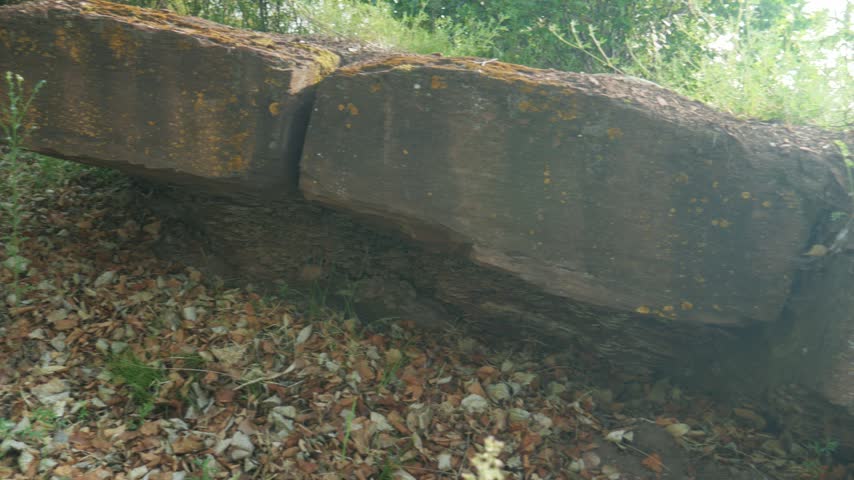 Ancient red Devonian sandstone slab with moss and natural cut rests among dry leaves and lush green shrubs on the shore of Lake Shira. Captured in a steady handheld shot.