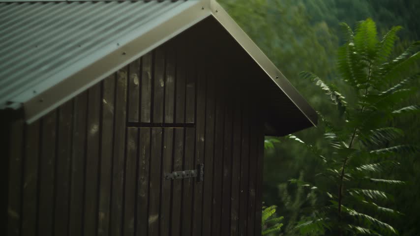 Wooden cabin with metal roof stands near green trees in forest during daylight