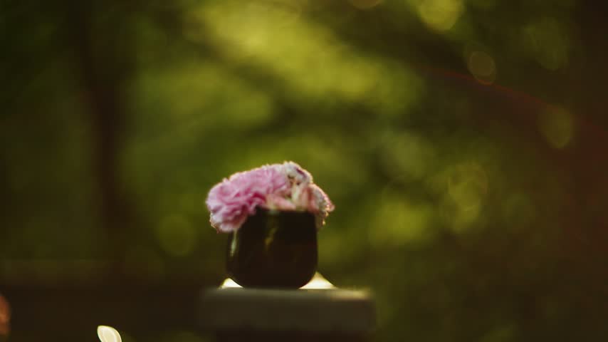 Pink flowers in small dark jars sitting on a wooden railing during evening outdoors