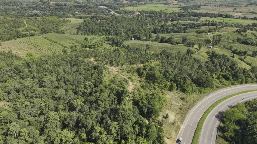Tranquil aerial view of a two-way road winding along a forested ridge under warm natural daylight.