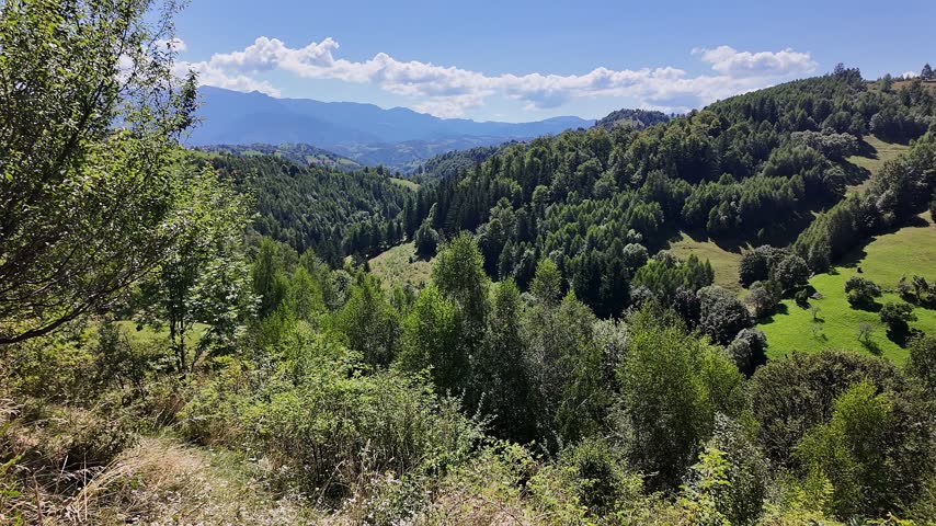 Green mountain pastures and dense forests with a traditional haystack in rural Transylvania Romania