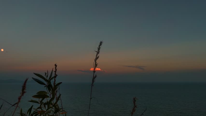 Seascape landscape at twilight featuring silhouettes of plants and glowing moon in sky