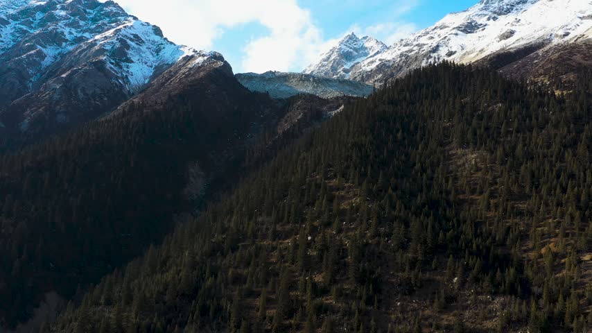 Majestic snow capped mountain peaks rising above dense evergreen pine tree forests