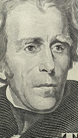 Andrew Jacksons U.S. dollar portrait glows as green light travels downward. Currency engraving moves between natural paper tones and bright green illumination.