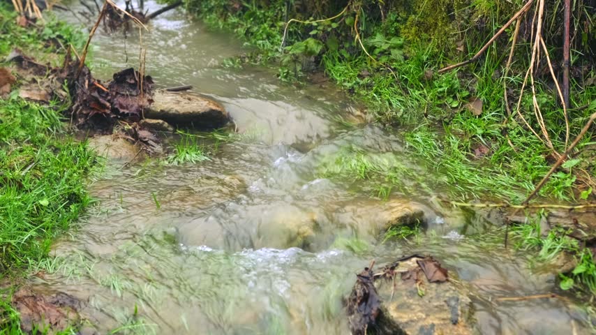 Creek runs through grass, overhead view, bending around stones and a fallen log in a shallow green corridor. Streamside vegetation, surface drainage and freshwater habitats for ecology and landscape education.
