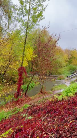 During autumn, trees with yellow and red leaves frame a pond and small footbridge in a park, with a path running beside the water.