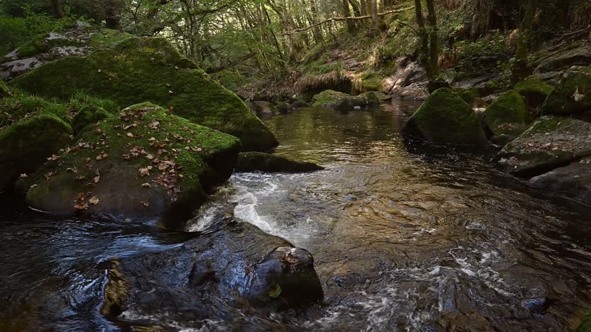 Cascading water flowing over rocks