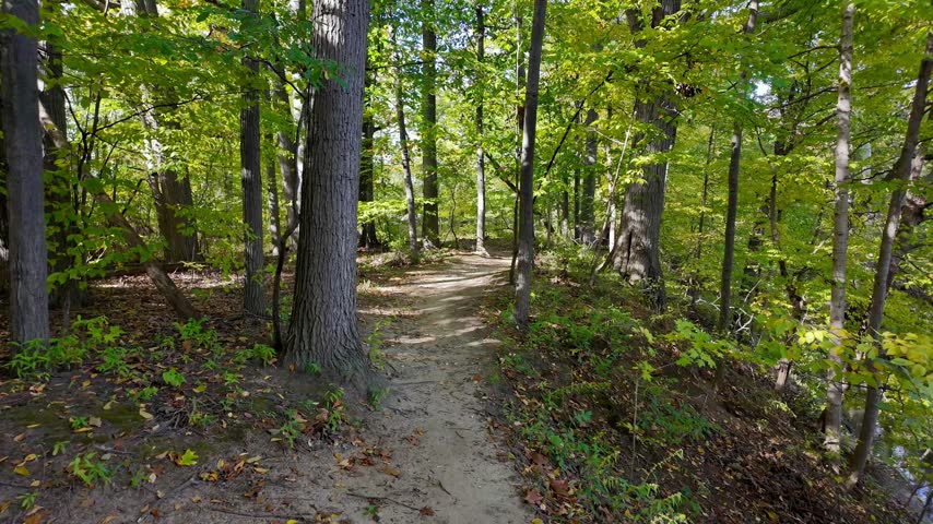 Detroit Michigan, United States Of America  10 13 2026: Autumn forest path splitting into two directions in a wooded area   