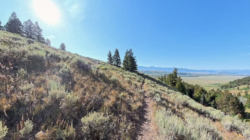 Dirt Trail Cuts through Sage on Hillside in Grand Teton National Park