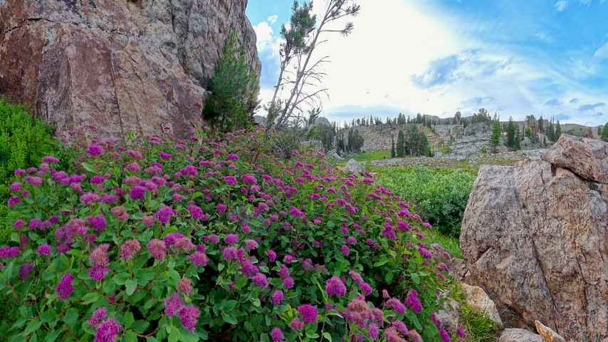 Flying Over Rose Meadowseet and Trail along the Teton Crest