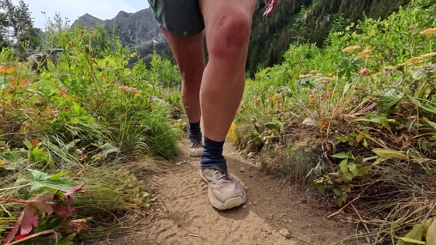 Footsteps on Dirt Trail in Grand Teton National Park in Summer