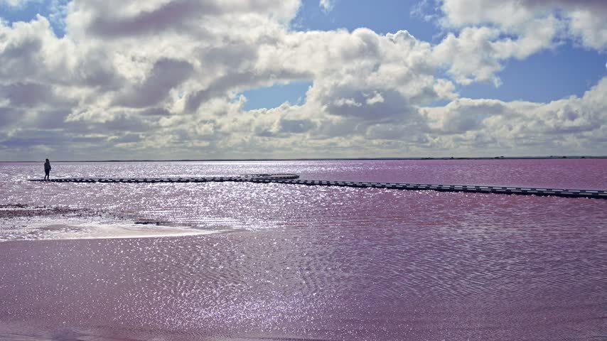 A lone woman walking along a narrow causeway dwarfed by the vast expanse of shimmering pink waters at Lake Tyrrell, beneath a blue sky adorned with white, richly textured, billowing clouds, Victoria, Australia.