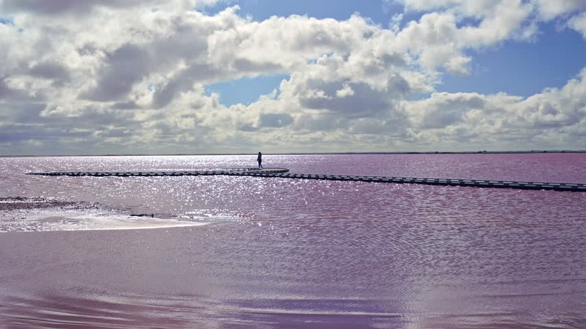 A lone woman walking along a narrow causeway dwarfed by the vast expanse of shimmering pink waters at Lake Tyrrell, beneath a blue sky adorned with white, richly textured, billowing clouds, Victoria, Australia.