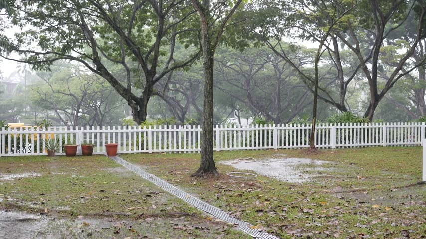 Heavy rainfall pouring down on grass field with mature trees in background and white picket fence in suburban park during overcast gloomy day.