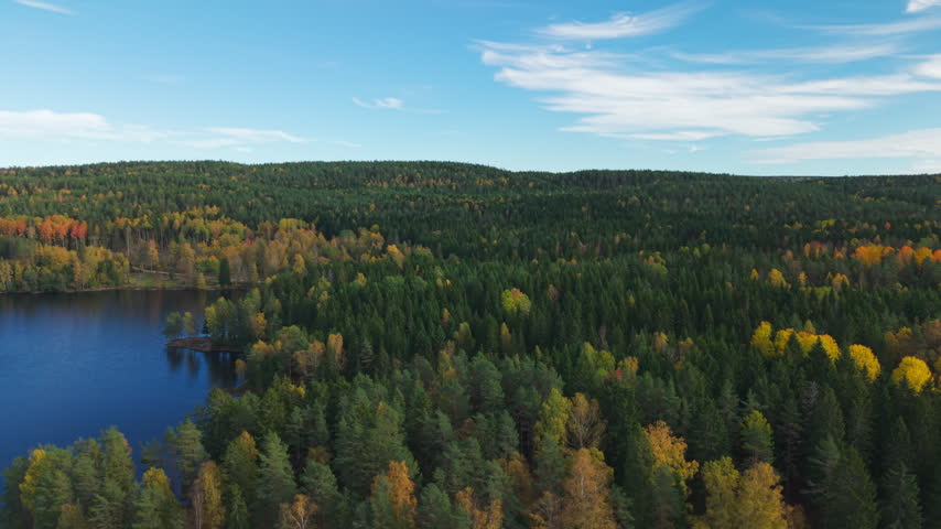 An aerial view shows a lake bordered by dense conifers and colorful deciduous trees, with wooded hills extending beneath a blue sky and wispy clouds.