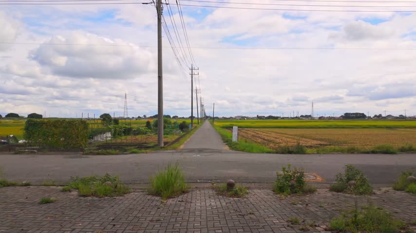 Rural landscape in Japan with a straight farm road extending from a T-junction, alongside utility poles and harvested fields under a cloudy sky.