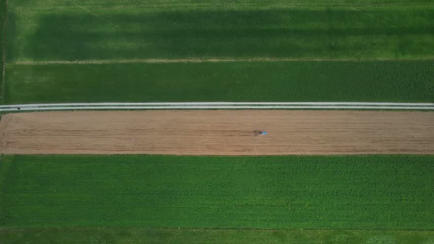Tractor tilling bare soil strip for seedbed preparation between green crop fields and straight farm track in Arda Valley, Piacenza, Emilia Romagna, Italy, static drone top down shot