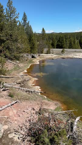 Geyser Field, Hot Springs, Fountain Paint Pots Trail, Yellowstone National Park, Wyoming, USA