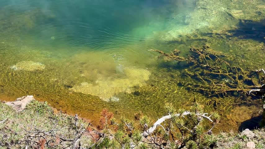 Geyser Field, Hot Springs, Fountain Paint Pots Trail, Yellowstone National Park, Wyoming, USA