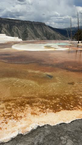 Yellowstone National Park - Thermal pool at Mammoth Hot Springs