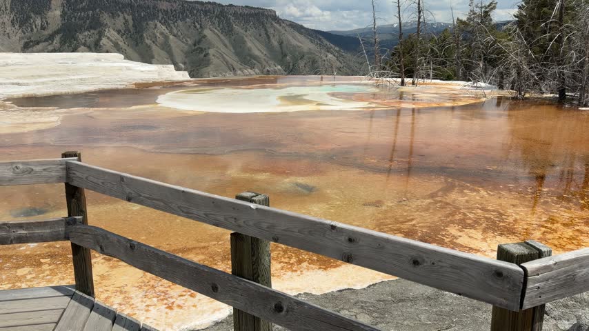 Yellowstone National Park - Thermal pool at Mammoth Hot Springs