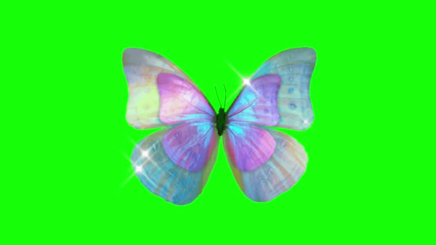 Magical Glowing Butterfly with Glitter Sparkles on Green Screen