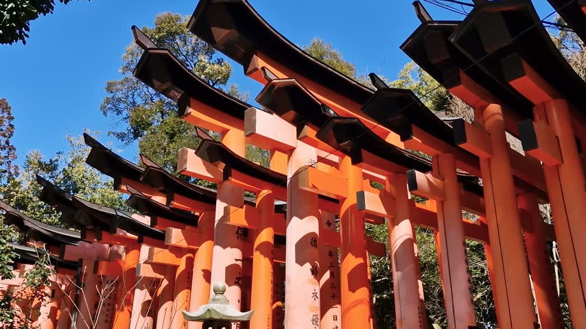 Fushimi Inari Taisha Torii Gates in Kyoto, Japan on Sunny Summer Day